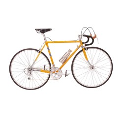 TELAIO VINTAGE GIALLO SIENA 59